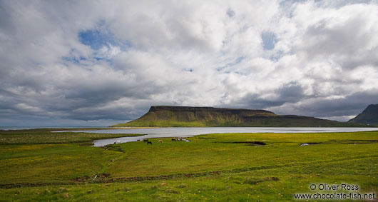 Snæfellsnes landscape