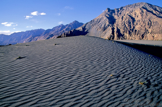 Sand dunes near Diskit