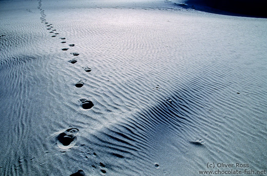 Tracks in the sand dunes near Diskit