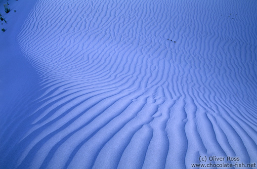 Sand dunes near Diskit