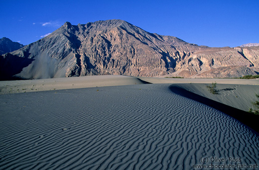 Sand dunes near Diskit