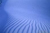Travel photography:Sand dunes near Diskit, India