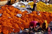 Travel photography:Kolkatta flower market, India