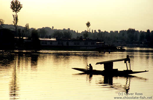 Boat on Dal lake in Srinagar (Kashmir)