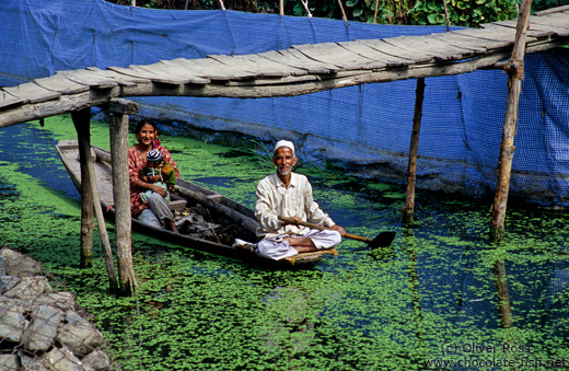 People on Dal Lake, Srinagar