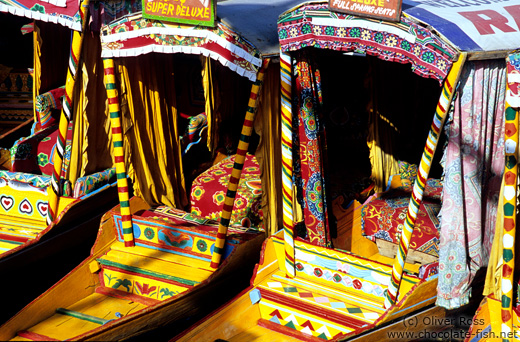 Parked water taxis on Dal Lake in Srinagar