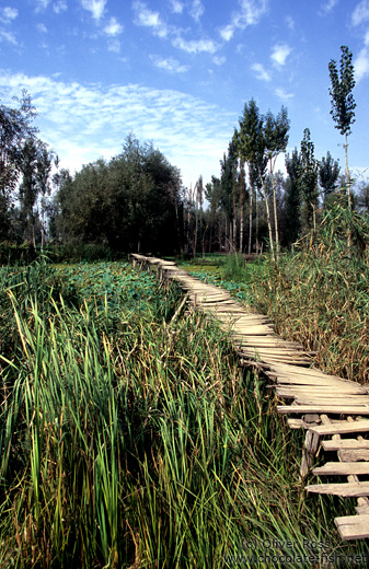 Walkway on Dal Lake near Srinagar