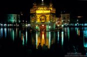 Travel photography:The Golden Temple in Amritsar, India