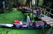 Travel photography:Travelling salesman on Dal lake, Srinagar, India