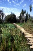 Travel photography:Walkway on Dal Lake near Srinagar, India