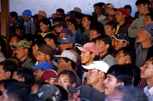 Spectators at a Polo match in Leh