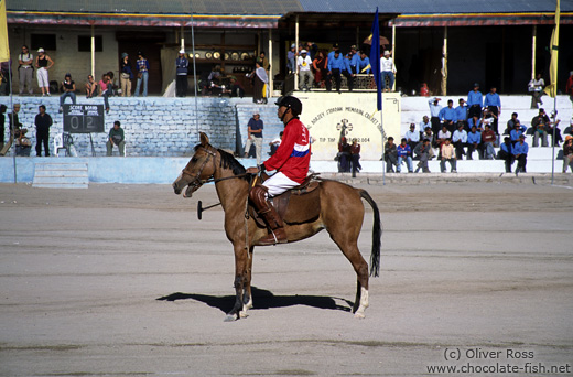 Polo player in Leh