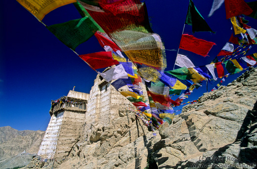 Namgyal Tsemo Gompa with prayer flags, Leh