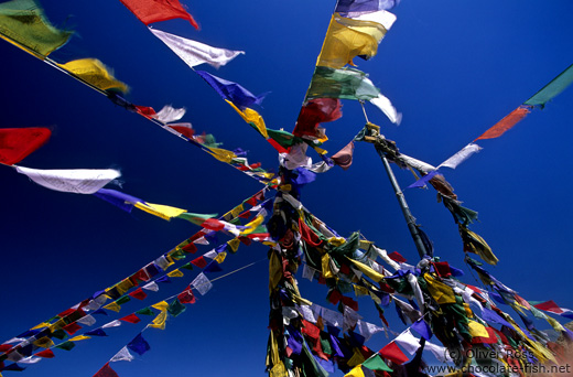 Buddhist prayer flags