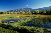 Travel photography:Indus valley near Choglamsar in the evening light, India