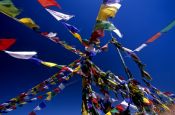 Travel photography:Buddhist prayer flags, India