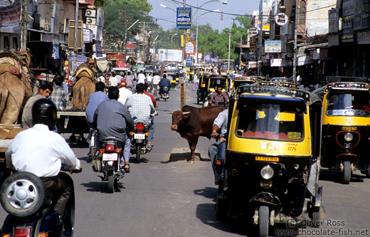 Bikaner street scene