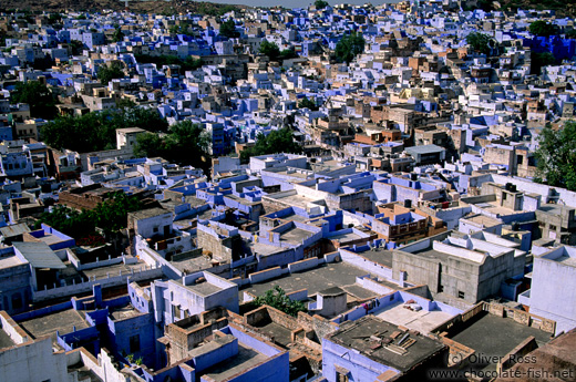 The blue city of Jodhpur