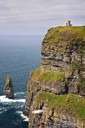 The Cliffs of Moher with O'Brien's tower