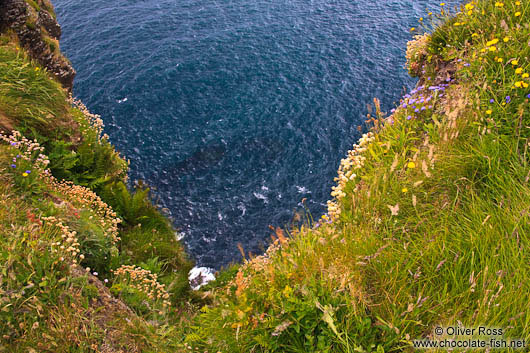 Looking down from the Cliffs of Moher to the sea