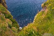 Travel photography:Looking down from the Cliffs of Moher to the sea, Ireland