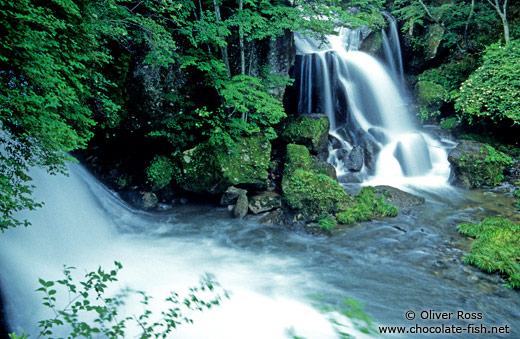 Waterfalls in Hakone Ntl Park