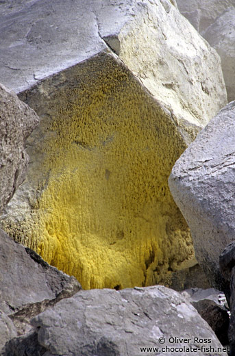 Fumaroles in Shiretoko Ntl Park on Hokkaido