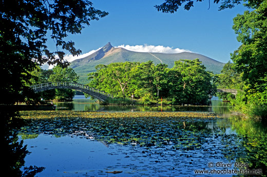 Lake Onuma with Mt Komagatake