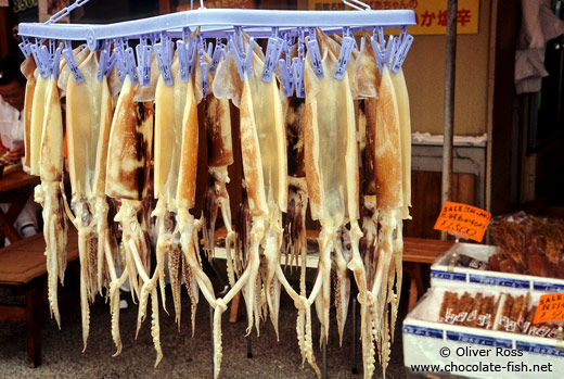 Drying squid in Hakodate