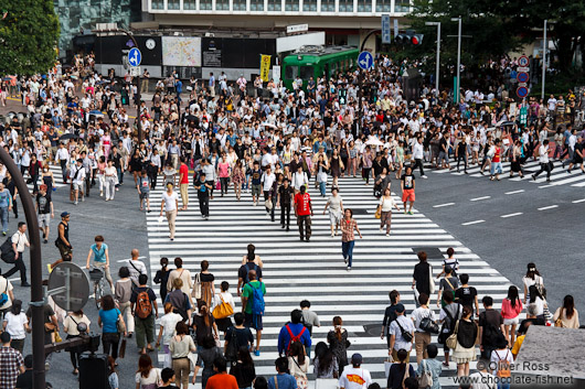 Busy pedestrian crossing in Tokyo´s Shibuya district