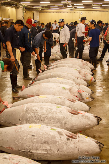 Tuna for sale at Tokyo´s Tsukiji fish market