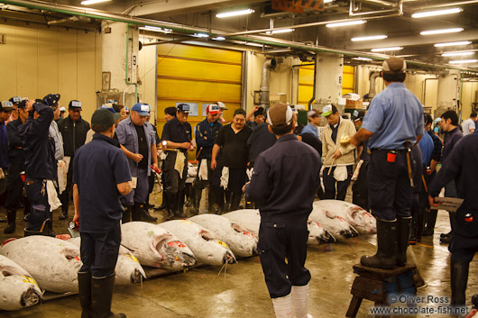 Tuna auction at the Tokyo Tsukiji fish market