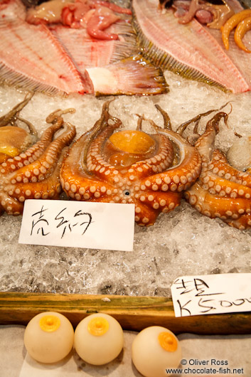 Sea food for sale at the Tokyo Tsukiji fish market