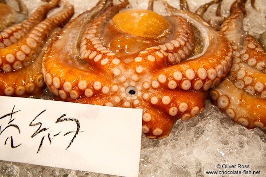 Octopus for sale at the Tokyo Tsukiji fish market