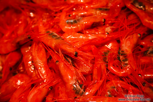 Shrimp for sale at the Tokyo Tsukiji fish market