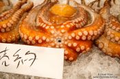 Travel photography:Octopus for sale at the Tokyo Tsukiji fish market, Japan