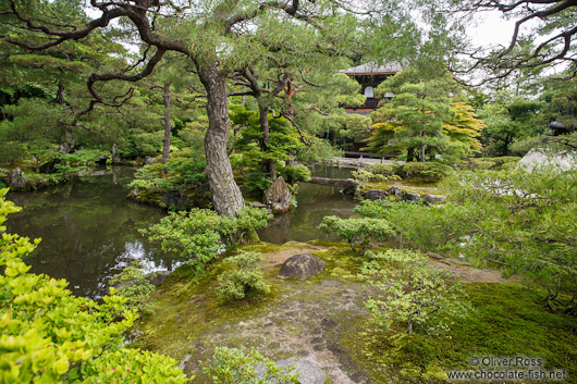 Kyoto Ginkakuji Temple grounds