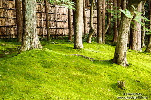 Gardens at the Kyoto Ginkakuji Temple