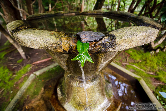 Water basin at Kyoto`s Honenin Temple