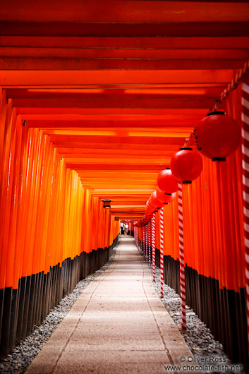 Row of Torii at Kyoto`s Inari shrine