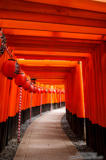 Row of Torii at Kyoto`s Inari shrine