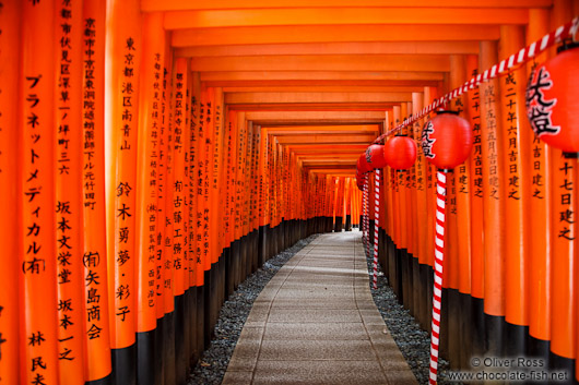 Row of Torii at Kyoto`s Inari shrine