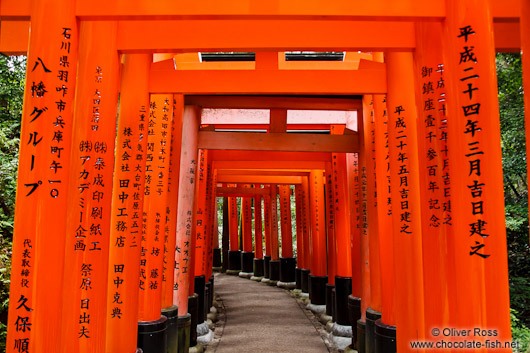 Row of Torii at Kyoto`s Inari shrine