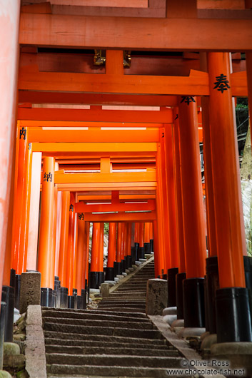 Row of Torii at Kyoto`s Inari shrine