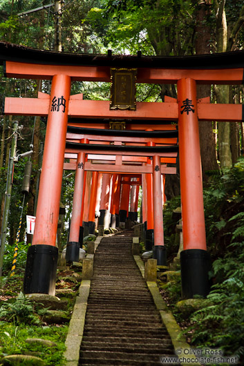 Row of torii at Kyoto`s Inari shrine