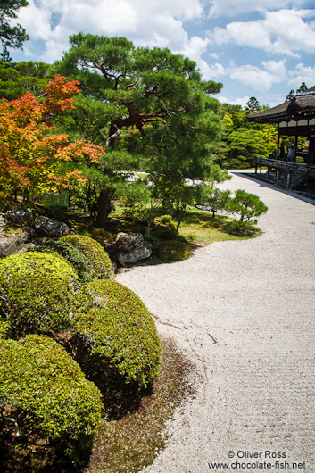 Rock garden at Kyoto´s Ninnaji temple