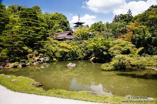 Rock garden and lake at Kyoto´s Ninnaji temple