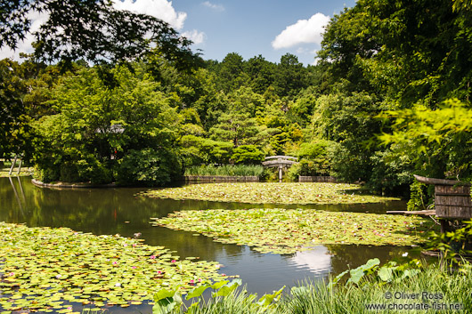 Lake at Kyoto´s Ryoanji temple