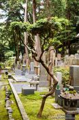 Travel photography:Cemetery at Kyoto`s Honenin Temple, Japan