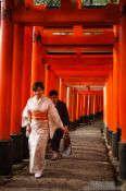 Travel photography:Row of Torii at Kyoto`s Inari shrine, Japan